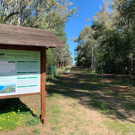 Villaggio Camping Uria Foce Varano Exterior photo